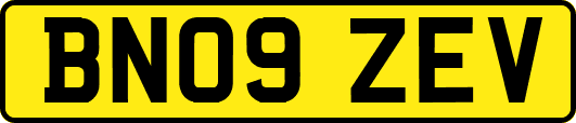 BN09ZEV