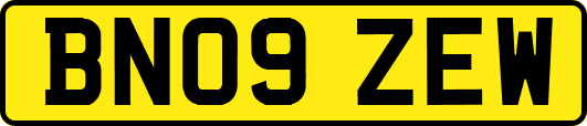 BN09ZEW