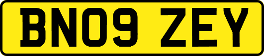 BN09ZEY