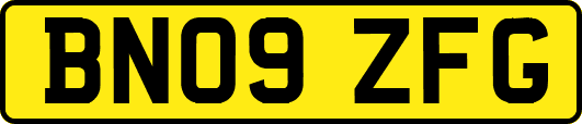 BN09ZFG