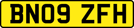 BN09ZFH