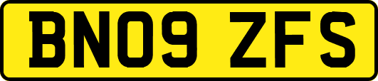 BN09ZFS