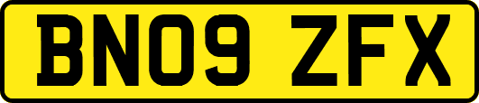 BN09ZFX