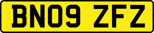 BN09ZFZ