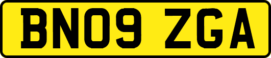 BN09ZGA