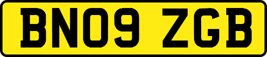 BN09ZGB