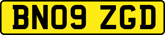 BN09ZGD