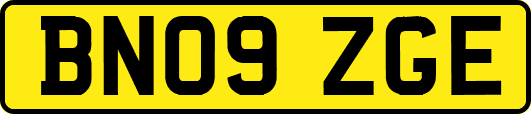BN09ZGE
