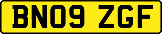 BN09ZGF
