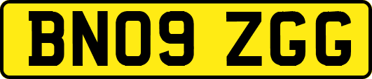 BN09ZGG