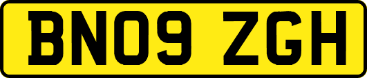 BN09ZGH
