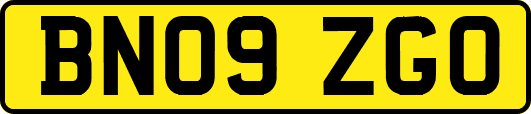 BN09ZGO