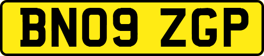BN09ZGP
