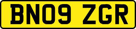BN09ZGR