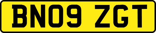 BN09ZGT
