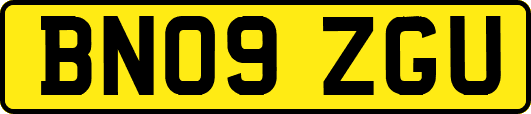 BN09ZGU