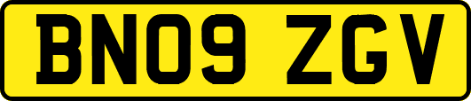 BN09ZGV