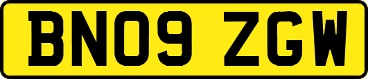 BN09ZGW