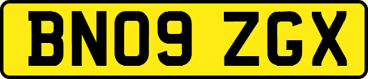BN09ZGX