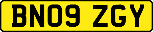 BN09ZGY