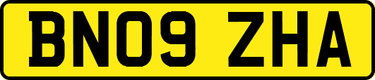 BN09ZHA
