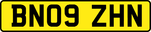BN09ZHN