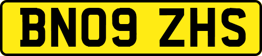 BN09ZHS