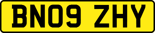 BN09ZHY