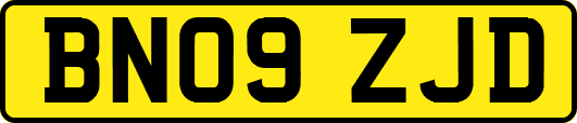 BN09ZJD