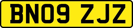 BN09ZJZ