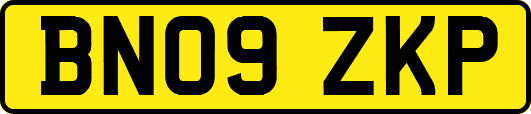 BN09ZKP