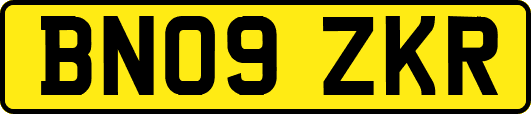 BN09ZKR