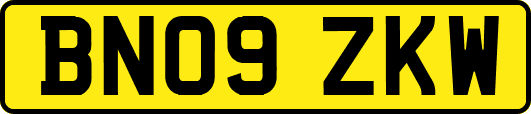 BN09ZKW