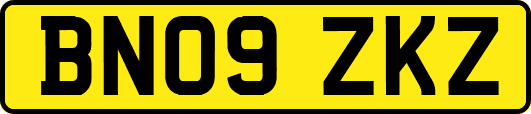 BN09ZKZ