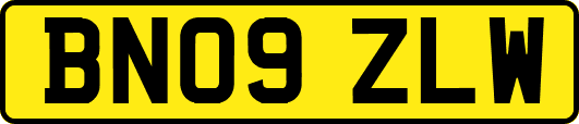 BN09ZLW