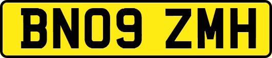 BN09ZMH