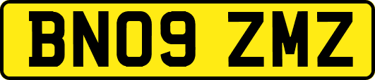 BN09ZMZ