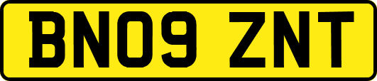 BN09ZNT