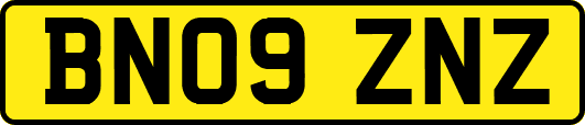 BN09ZNZ