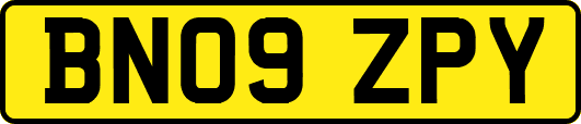 BN09ZPY