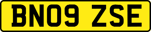 BN09ZSE