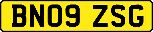 BN09ZSG