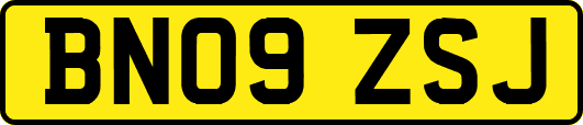 BN09ZSJ