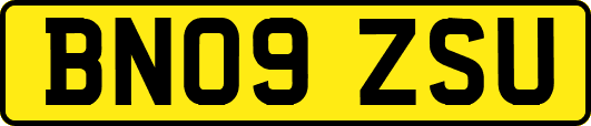BN09ZSU