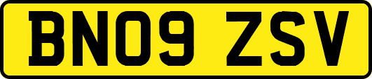 BN09ZSV