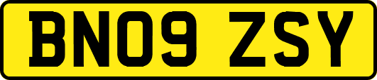 BN09ZSY