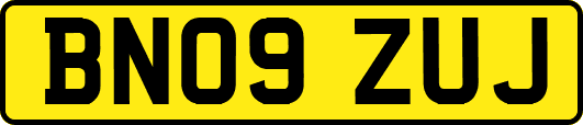 BN09ZUJ