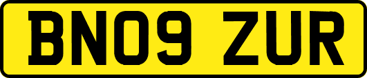 BN09ZUR
