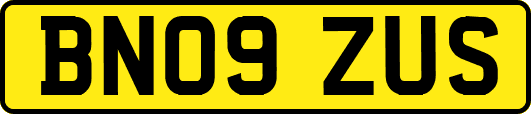 BN09ZUS