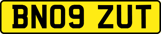 BN09ZUT
